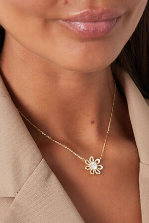 Collar strass flor - plata h5 Imagen3